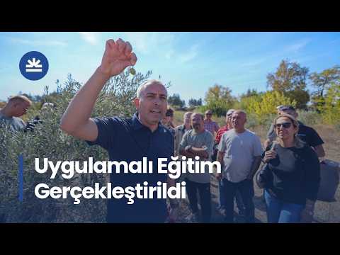 Buca'da "Sertifikalı Zeytin Budama Eğitimi" Tamamlandı