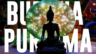 BUDDHA PURNIMA WHATSAPP STATUS 2022 | LORD BUDDHA STATUS | VESAK GAUTAM BUDDHA WHATSAPP STATUS VIDEO