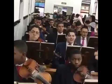 Violino ccb Hino 221