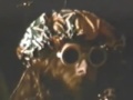 Captain Beefheart - ˜She's Too Much For My Mirror˜ and ˜Human Gets Me Blues˜(Live In Belgium)