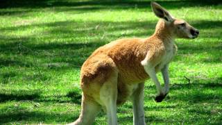 Clique - Meet the team