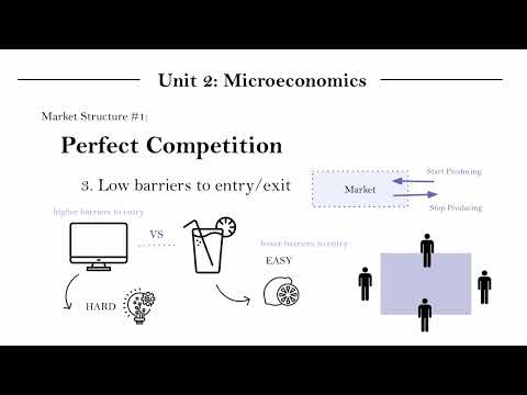 IB Econ Unit 2.11.7 - Perfect Competition (Part 1)