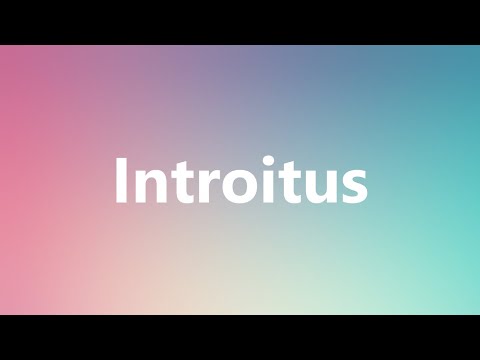 Introitus - Medical Meaning and Pronunciation