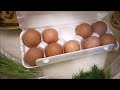 Как я зарабатываю лазая по мусоркам Москвы.ЧАСТЬ 151.