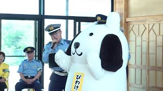 9月18日【びわ湖放送ニュース】秋の交通安全運動を前に　びわけんが一日警察署長に！