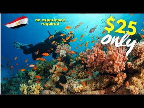 Scuba Diving in Hurghada