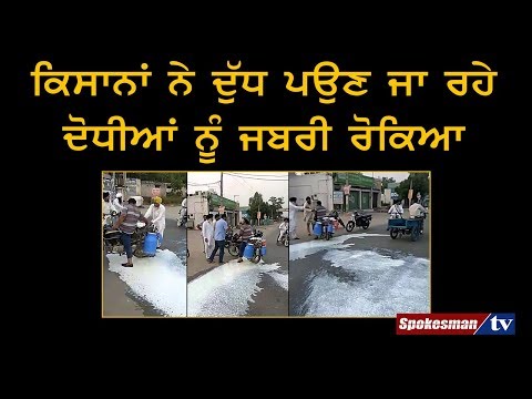ਕਿਸਾਨਾਂ ਨੇ ਬੰਦ ਦੌਰਾਨ ਦੁੱਧ ਵੇਚਣ ਵਾਲੇ ਦੋਧੀਆਂ ਦਾ ਦੁੱਧ ਸੜਕਾਂ 'ਤੇ ਰੋੜ੍ਹਿਆ, ਦੇਖੋ ਵੀਡੀਓ