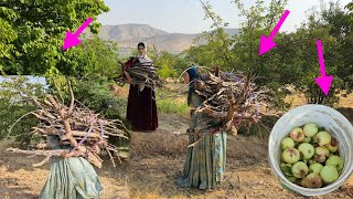 Download lagu The many tears of the mother and Zeinab, bringing firewood and picking apples 🍎 mp3