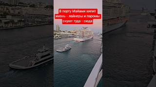 В порту Майями кипит жизнь #miami #umarkeyn #4k #cruiseship #travel
