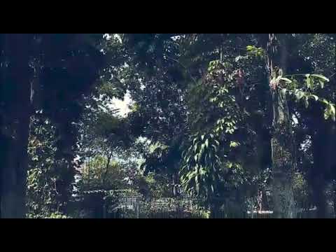 mimpi-buruk-jadi-nyata