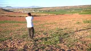 Rumble Dogs - Trailer Oficial HD 2015