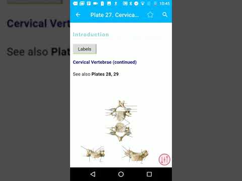 Anatomy Atlas, USMLE, Clinical video thumbnail