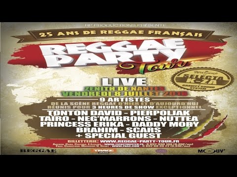 Tonton David, Pierpoljak, Taïro, Negmarrons, Nuttea, Princess Erika, ... - Reggae Party Tour