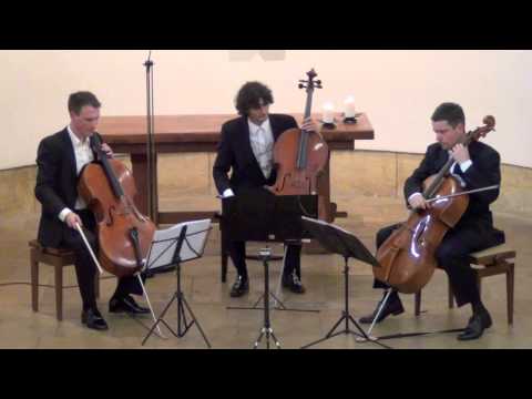 Haydn Divertimento D Major on 3 Celli live in concert