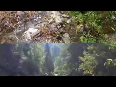 ilegalitati obstea Robesti 2