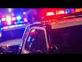 Woman Bitten On Leg After Encounter With Loose Dogs On The Northwest Side Officials Say