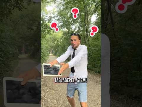 Emus táblagép akció 0Ft-ért!