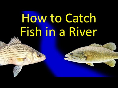 How to Fish a Stream or River (River Fishing Tips)