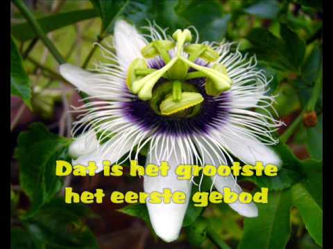 691 - Heb de Heer je God lief