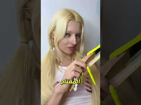الكعكة التي أحبتها تشينكي تعرضت لكارثة 🎂💔
