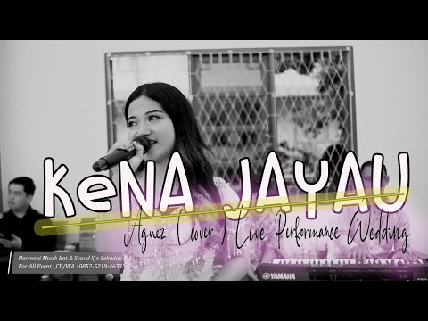 Kena Jayau || AgNez ( cover ) ▪︎ Live Perform || Lagu Dayak ▪︎