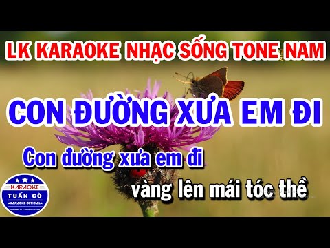 Karaoke Nhạc Sống Liên Khúc Trữ Tình Bolero Tone Nam | Con Đường Xưa Em Đi | Con Đường Mang Tên Em