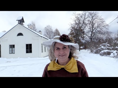 Historien om Sverige - i litteraturen. Fantastiskt fenomenala kvinnor som förändrade världen.