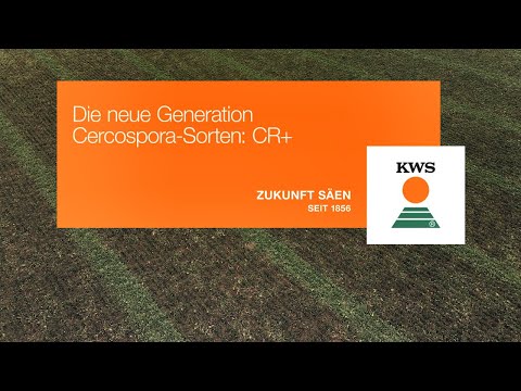 Die neue Generation Cercospora-Sorten: CR+ - Mehr Schutz + Mehr Leistung