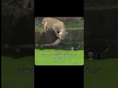 قام بدفع طفله معتقدا انه عشب ولكنه يعلم انه. #اكسبلور #لايك #تصميمي#ترند#متابعه#قصص #ytshorts #funny