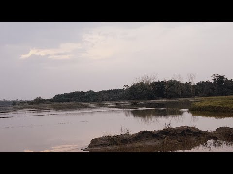 NBL VLOG N cifa jwbai ses cfa jwbthardwg