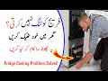How to Fix Refrigerator Problems At Home |Refrigerator Not Cooling