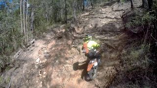 KNOBBIES & THE HOLY GRAIL: enduro vlog #152