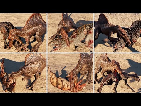 Spinosaurus Kill Animation Vs Large & Medium Carnivores - Jurassic World Evolution 2
