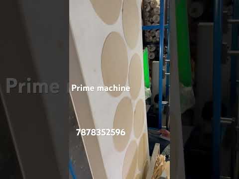 Automatic Khichiya Papad Making Machine