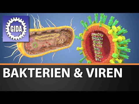 Trailer - Bakterien & Viren - Biologie - Schulfilm