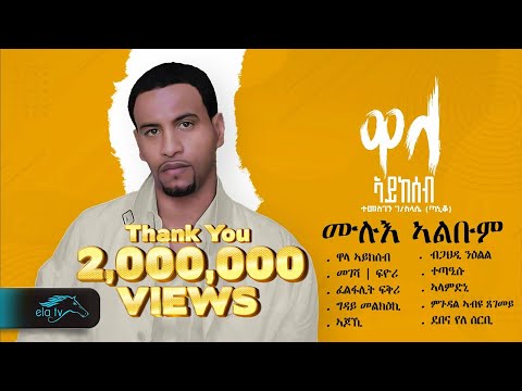 ela tv - Temesgen G/selassie  - Taniqo - Wala Aykeseb - Vol 1 - ሙሉእ ኣልቡም - 1 Hour - Relaxing Video