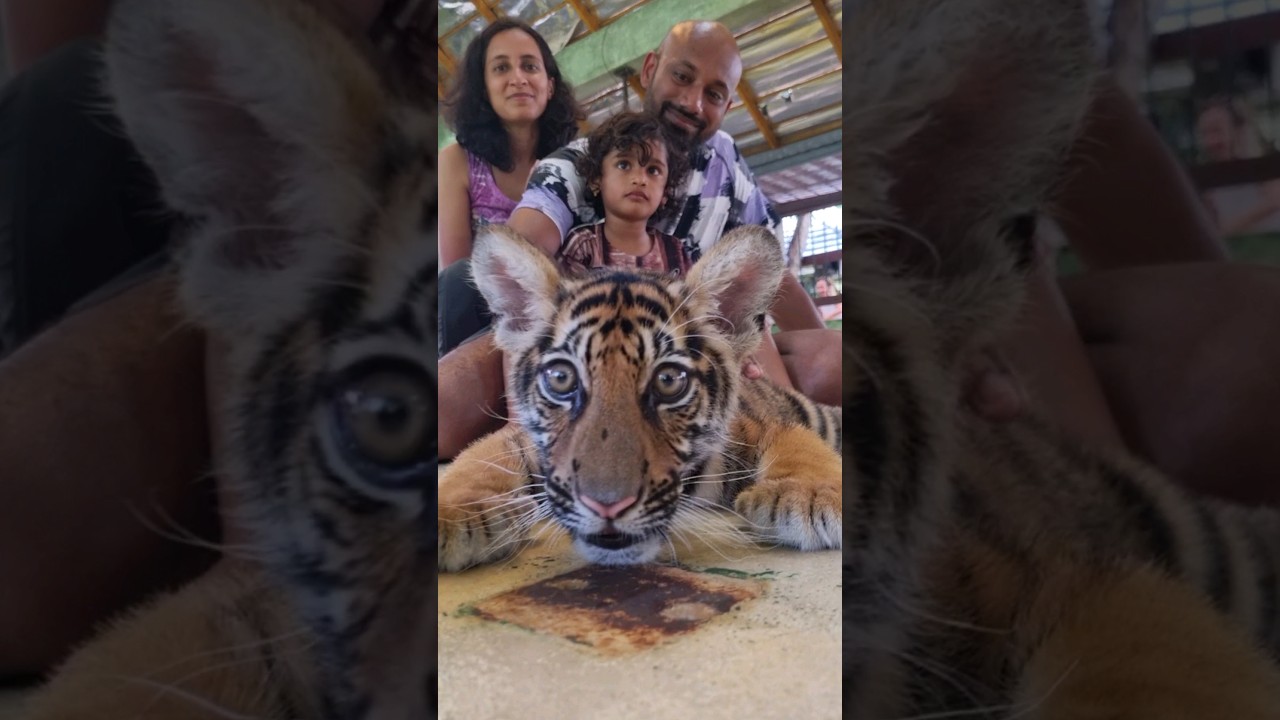 YouTube Short thumbnail