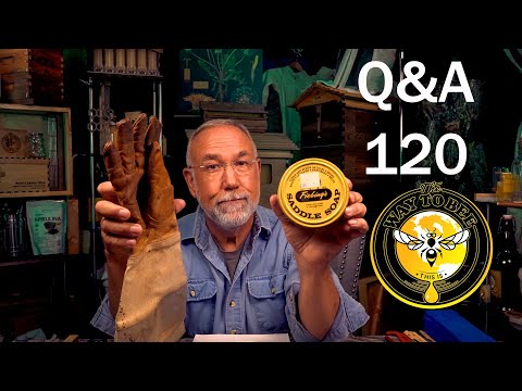 Backyard Beekeeping Questions and Answers episode 120, thinking about winter and more.