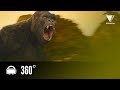 Experience KONG SKULL ISLAND In 360