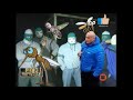 Muszka Jajcówka Feat Komar Mucha I Komar To Ziomal