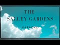 The Salley Gardens (Britten) | Karaoke | Piano Accompaniment | Trinity