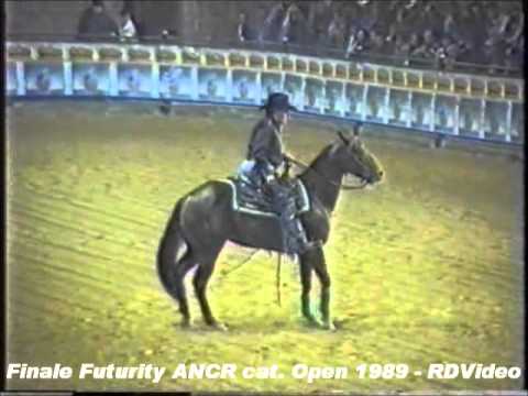 RDVideo - Finale del Futurity ANCR 1989 cat. Open - video 4 di 5