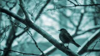 BESEECH Neon Ocean subtitulado al Español