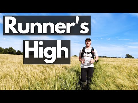 What is Runner's High | How to get Runner's High | Running 101