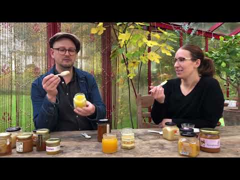 Honungsprovarna testar maskroshonung