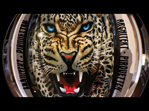 Architekt - Pirouetten [Beat CJToxic] (Handyvideo)