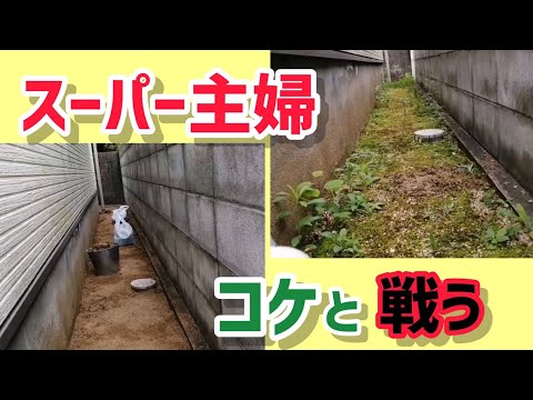 芝生の修復 コケの除去 庭の雑草の除去