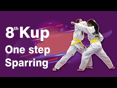 8th Kup Yellow Belt One Step Sparring