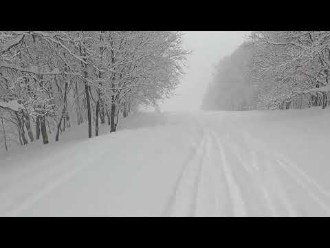 Video: 2022/2/22 赤倉観光リゾート、山頂のホテルAコースで、面ツルの最高のパウダーを楽しんでみました。