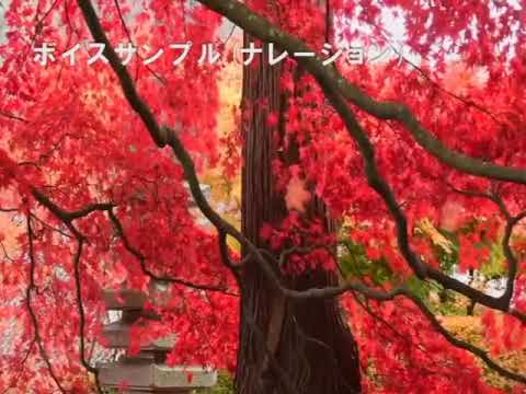 独学ですが声のお仕事承ります イメージ1